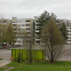 rüti-(14)