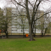 rüti-(3)