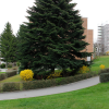 rüti-(5)